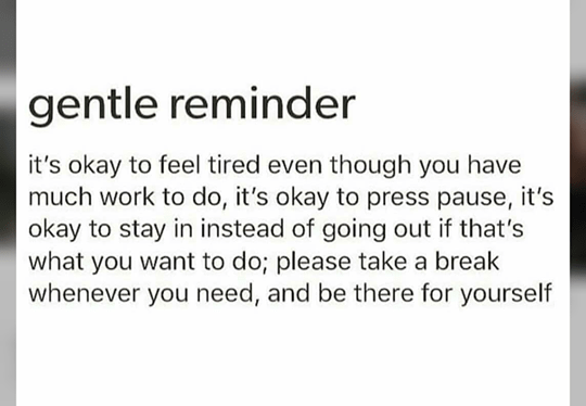 45539900_605455289870364_6073308976039067648_n